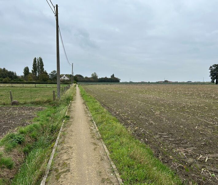 2025dag-van-de-trage-wegpittemplattebeursstraat.jpg